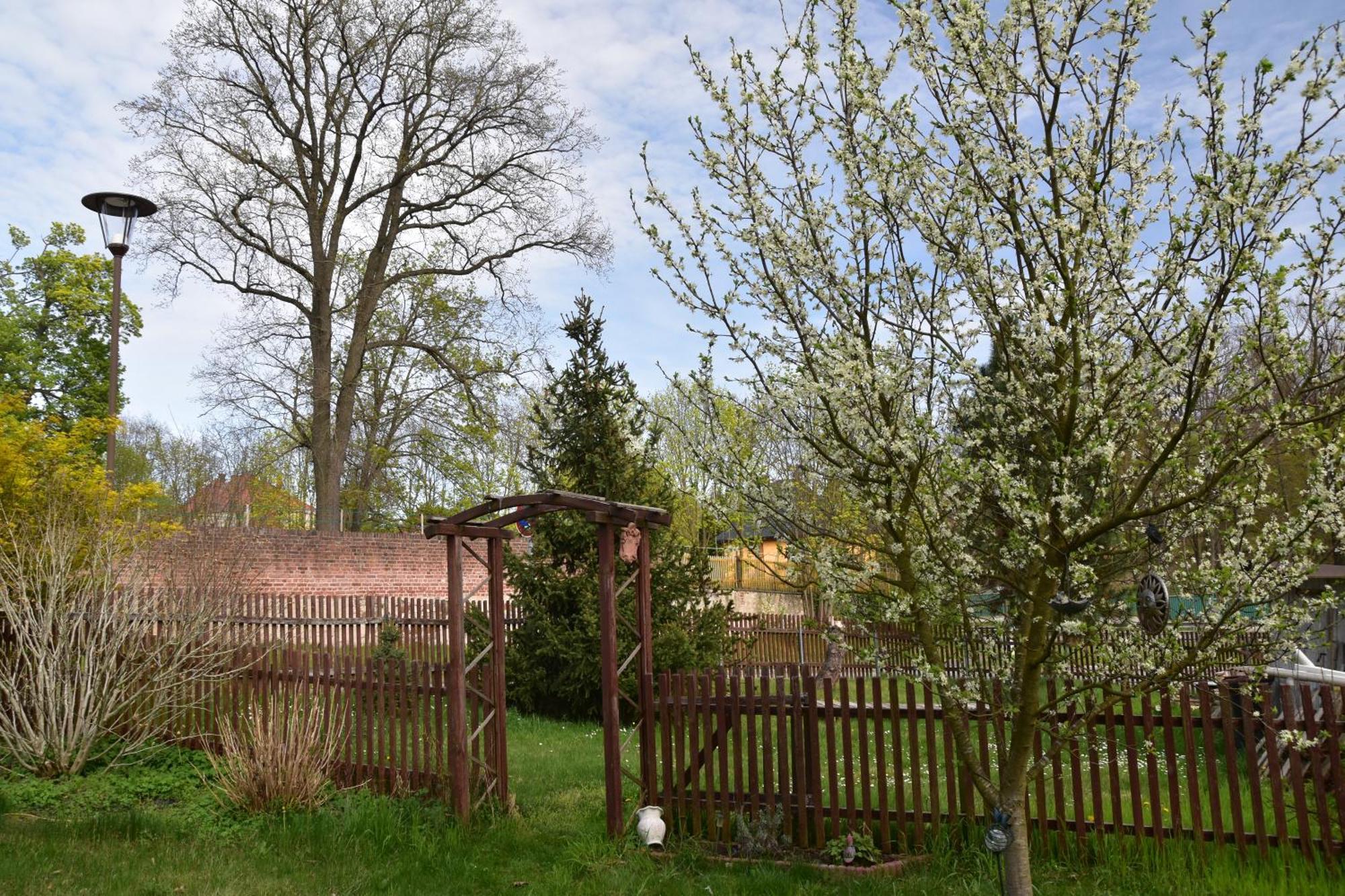Ferienwohnung Und Pension "Zur Aue" Konigsbruck Екстериор снимка